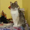 Отзыв от Ева Лаптева